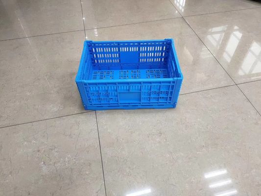 Κατακόρυφος που συσσωρεύει φρούτων και λαχανικών τα πλαστικά δοχεία καλαθιών μεταφορών τροφίμων κλουβιών φρέσκα με τις τρύπες
